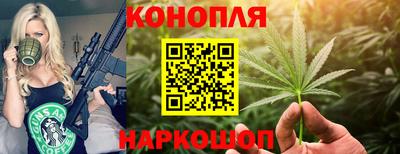 гашик Аша