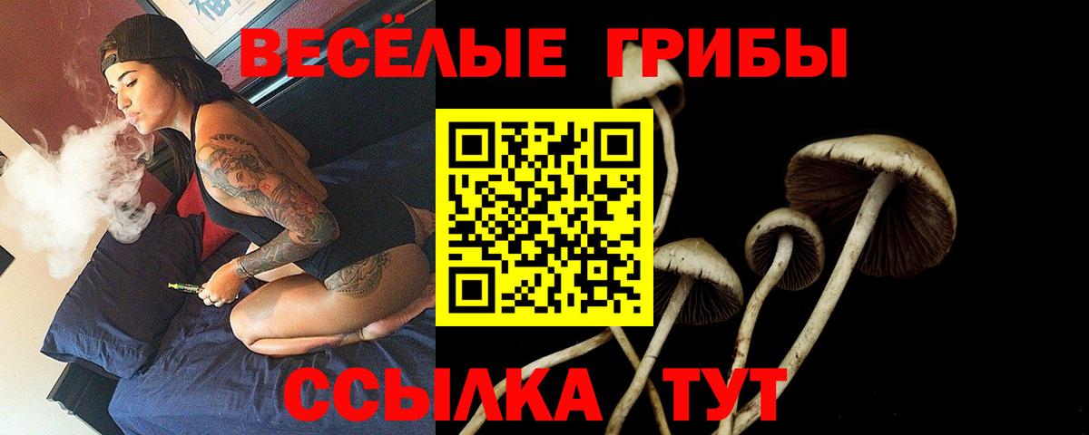Псилоцибиновые грибы прущие грибы  Вход с VPN  Ивантеевка 